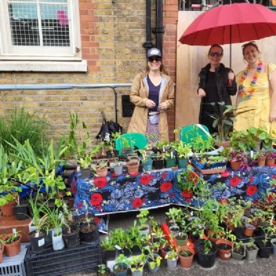 93c9c1cb-3ff5-468e-8cbc-29e3ab67d625-Copy